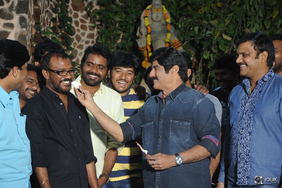 Dictator-Movie-Gummadikaya-Function